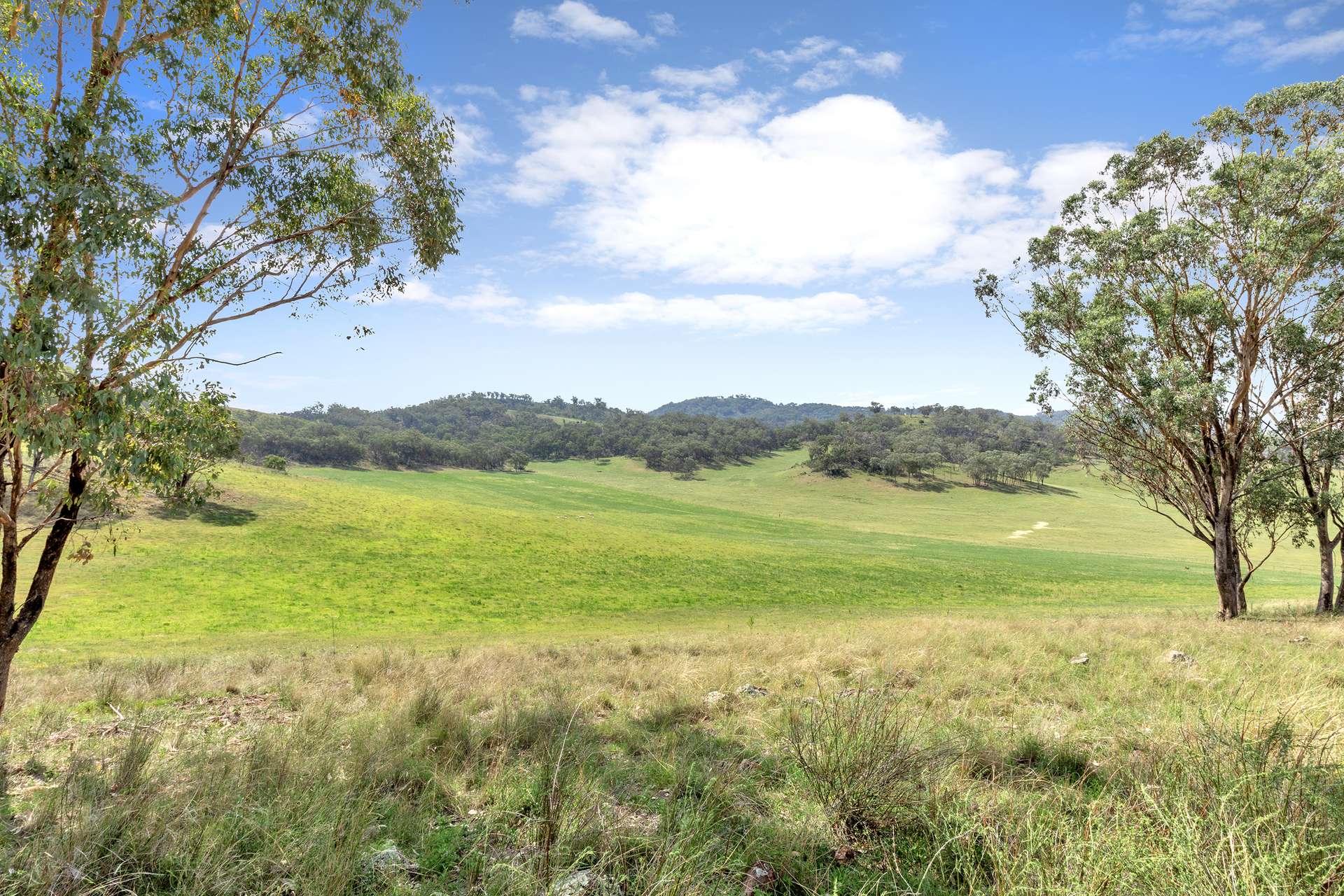 225 Echo Hills Road, Dungowan For Sale by Farmbuy.com - image 3