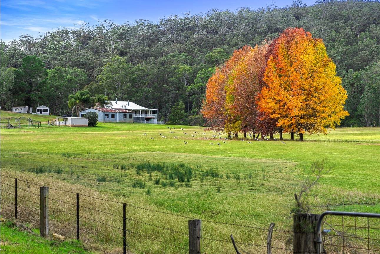 187 Arthur Drive, Putty For Sale by Farmbuy.com - image 14