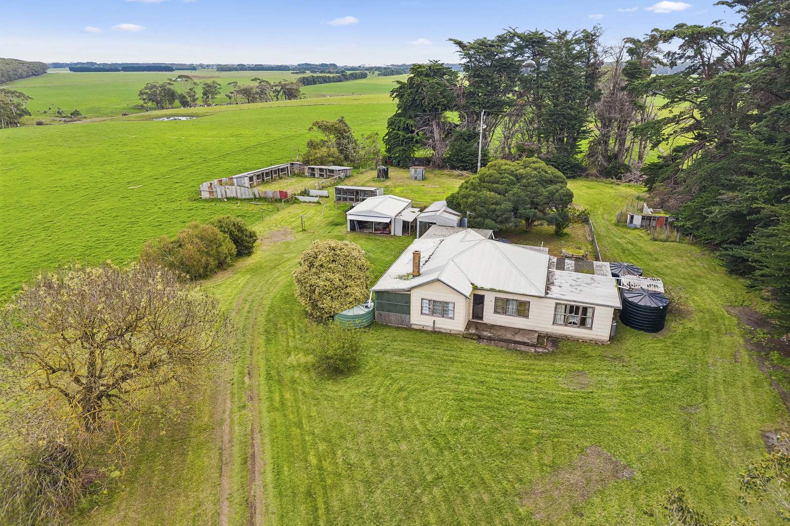 194 Whiskey Creek Road, Curdievale For Sale by Farmbuy.com - image 4