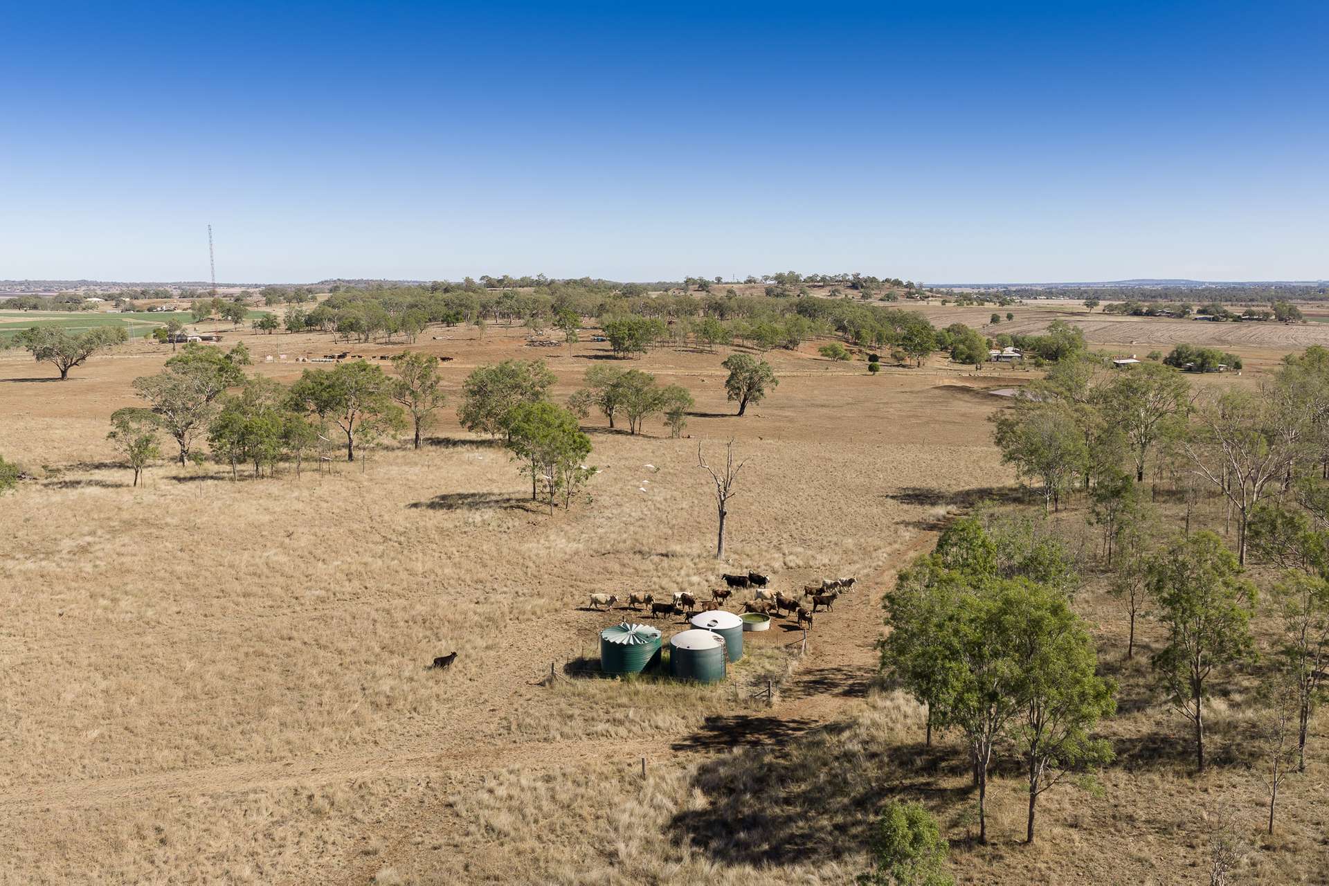 "Gothaire" 379 4ak Road, Oakey For Sale by Farmbuy.com - image 25