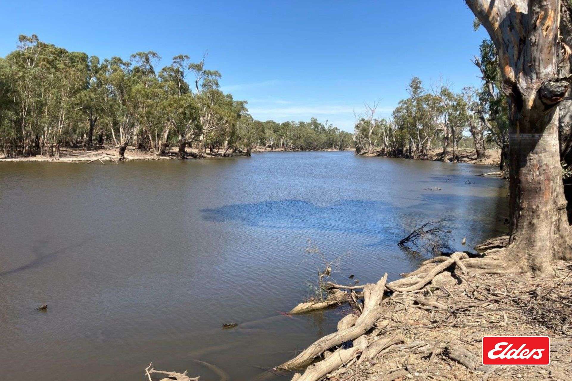 113 Perricoota Forest Road, Moama For Sale by Farmbuy.com - image 3
