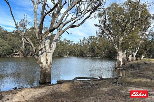 113 Perricoota Forest Road, Moama NSW 2731