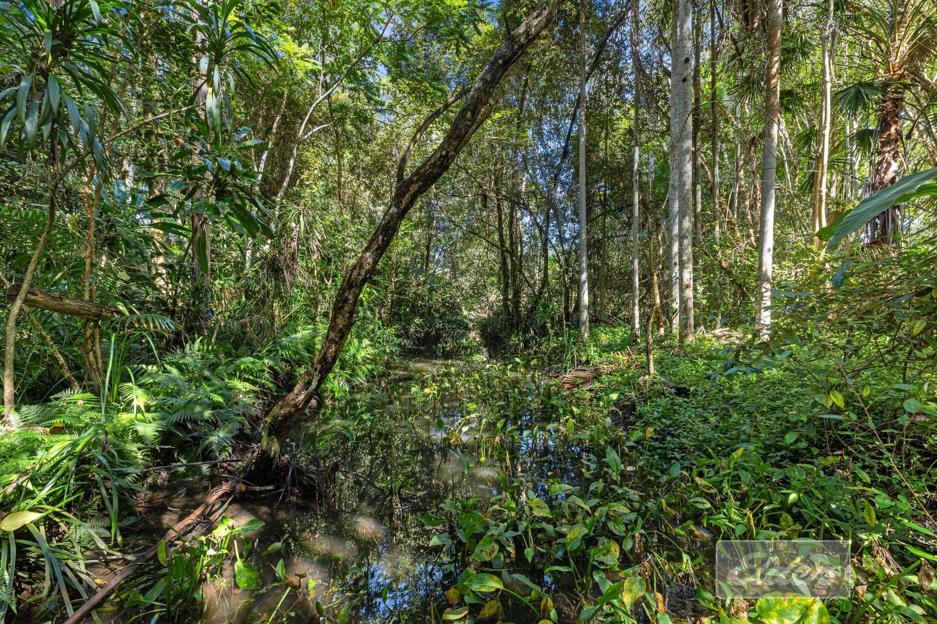 35 Lake MacDonald Drive, Cooroy For Sale by Farmbuy.com - image 16