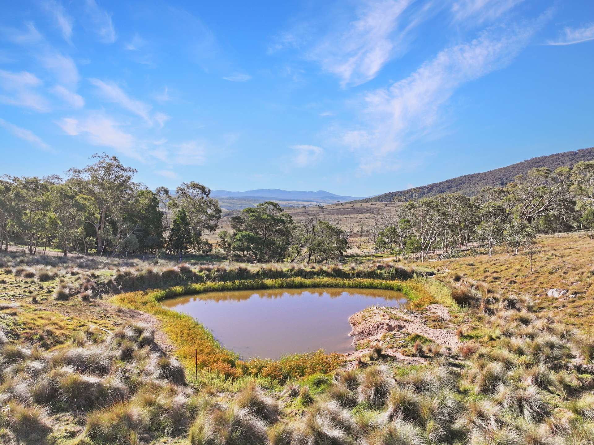14 Harts Road, Braidwood For Sale by Farmbuy.com - image 17