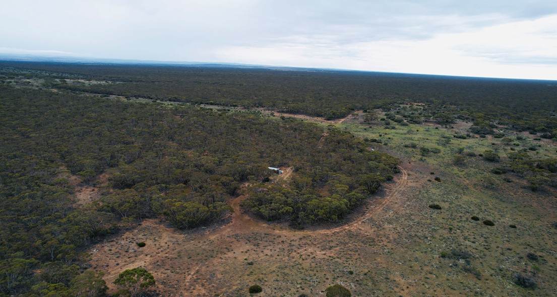 Lot 5 & 221,  Stott Highway And Pine Hut Road, Sedan For Sale by Farmbuy.com - image 18
