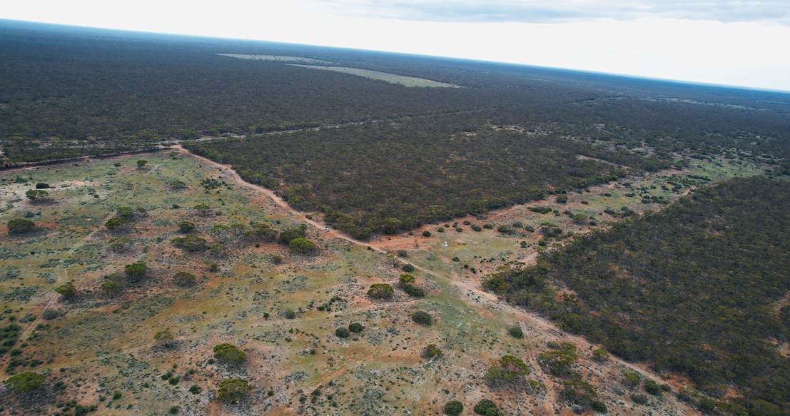Lot 5 & 221,  Stott Highway And Pine Hut Road, Sedan For Sale by Farmbuy.com - image 5
