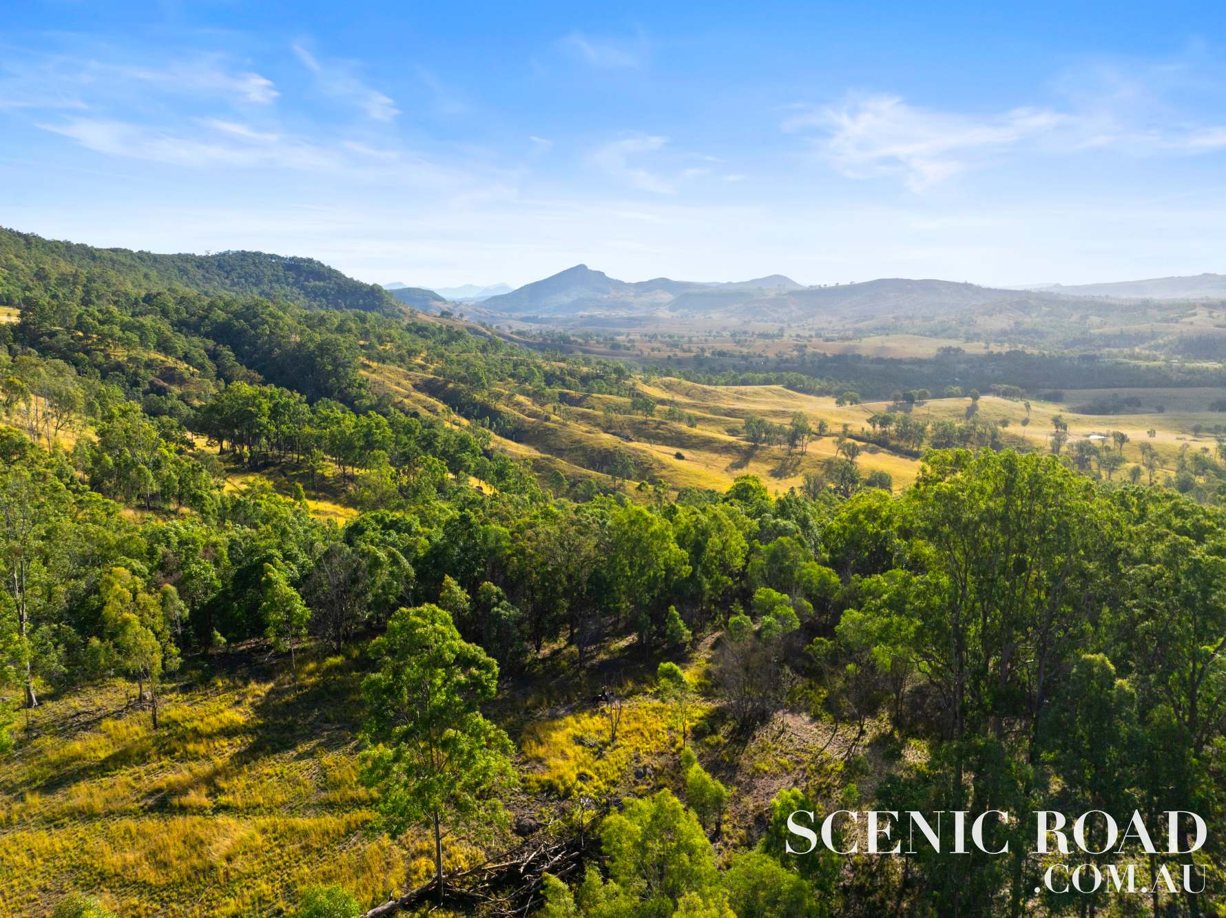 Lot 3, 903 Knapp Creek Road, Knapp Creek For Sale by Farmbuy.com - image 28