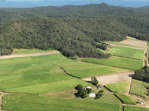 169 Bradfords Road, Septimus QLD 4754
