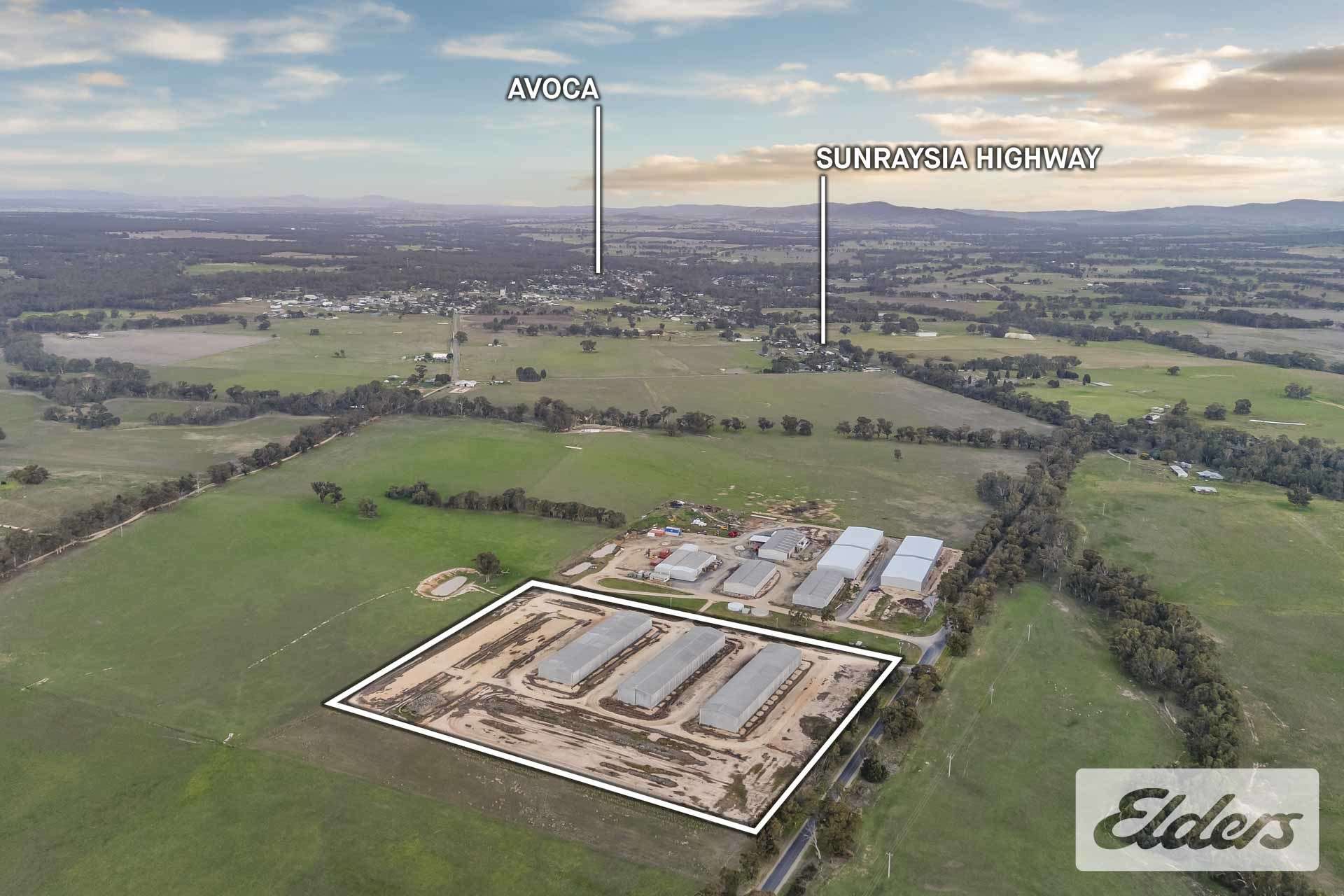 102 Avoca - Bealiba Road, Avoca For Sale by Farmbuy.com - image 3