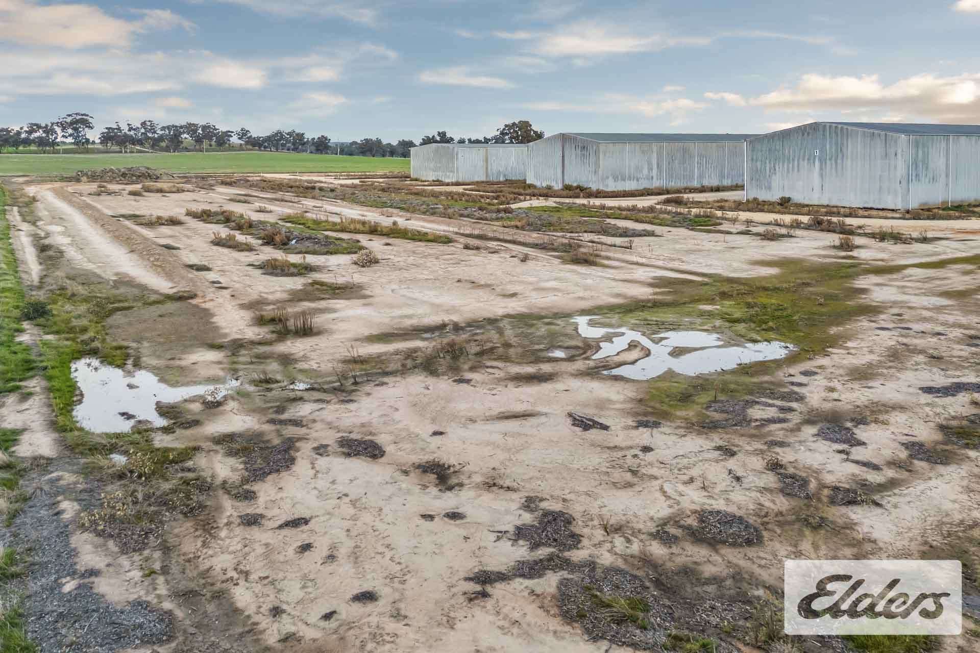 102 Avoca - Bealiba Road, Avoca For Sale by Farmbuy.com - image 20