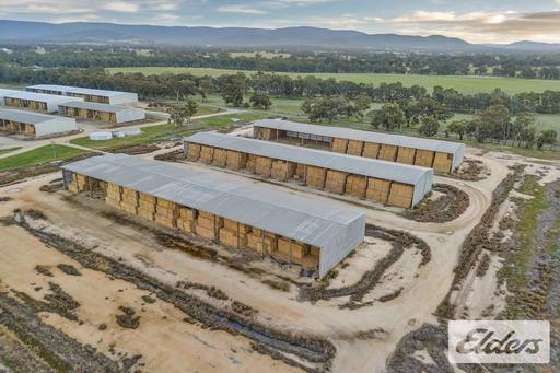 Farm For Sale - VIC - Avoca - 3467 - Rare Storage Opportunity in the Pyrenees ranges 