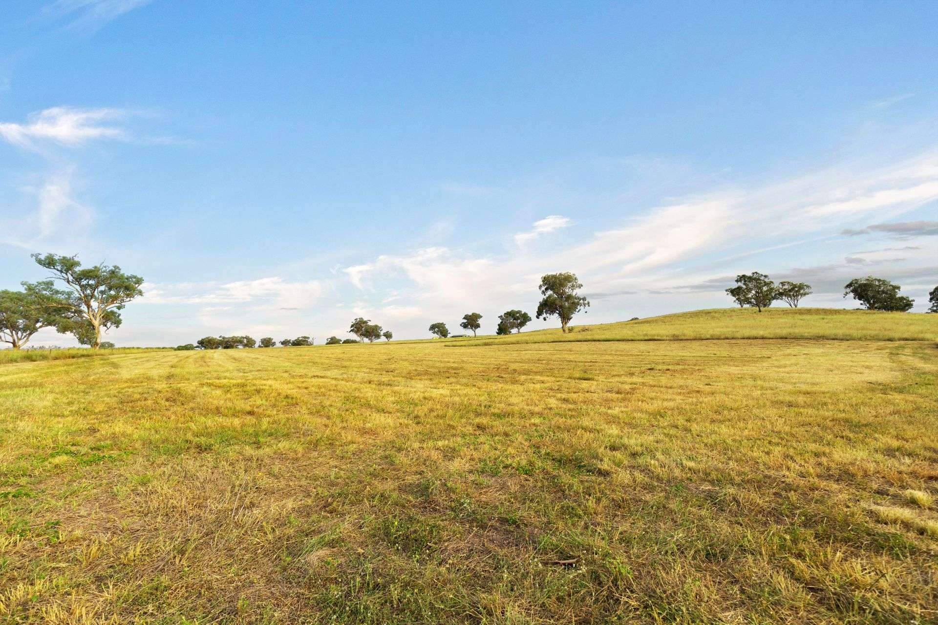 705 Springfield Lane, Gulgong For Sale by Farmbuy.com - image 5