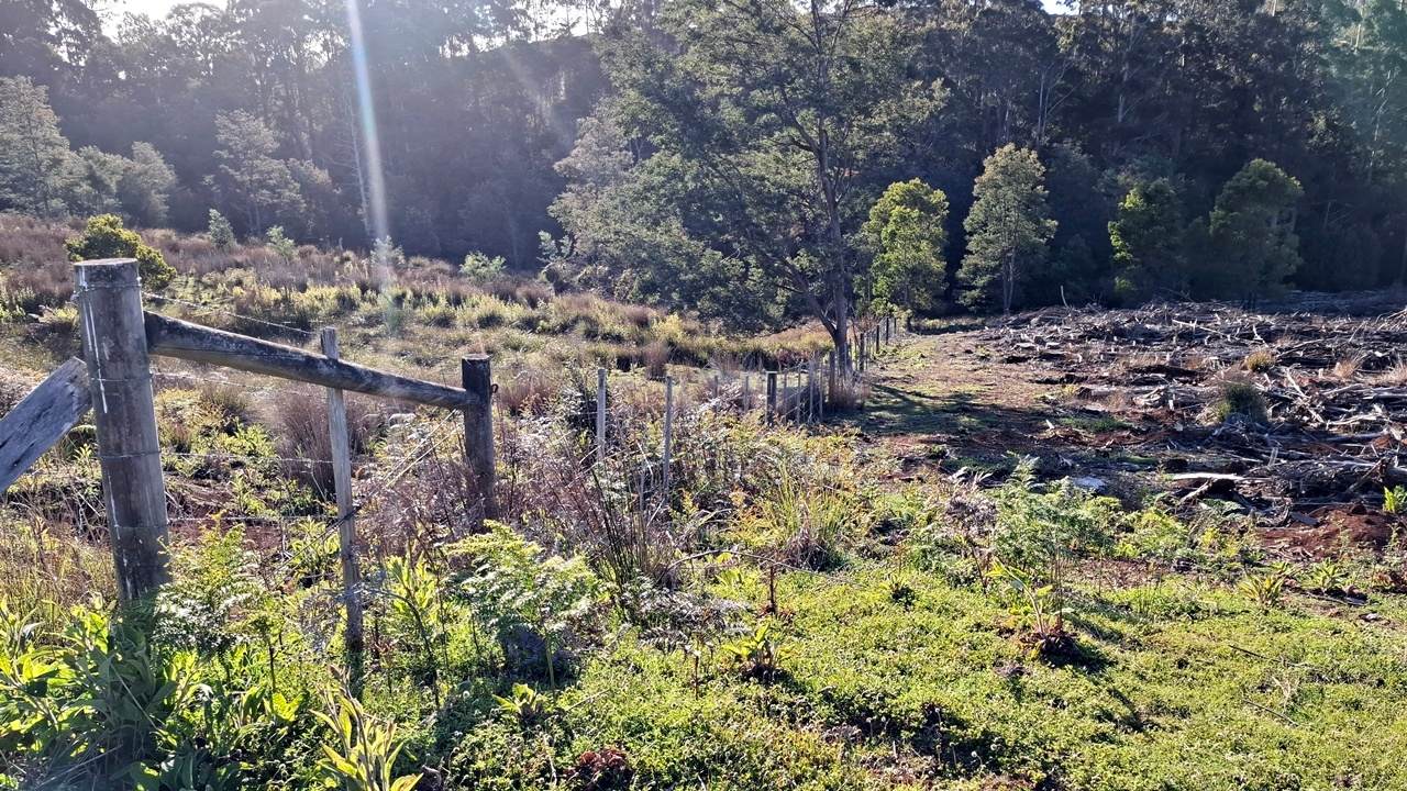 108B Weeks Road, Barrington For Sale by Farmbuy.com - image 18