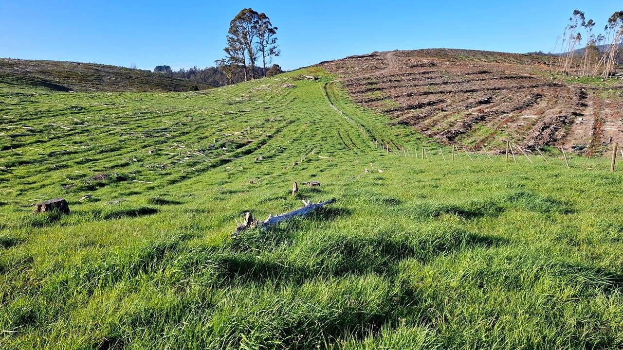 108B Weeks Road, Barrington For Sale by Farmbuy.com - image 14