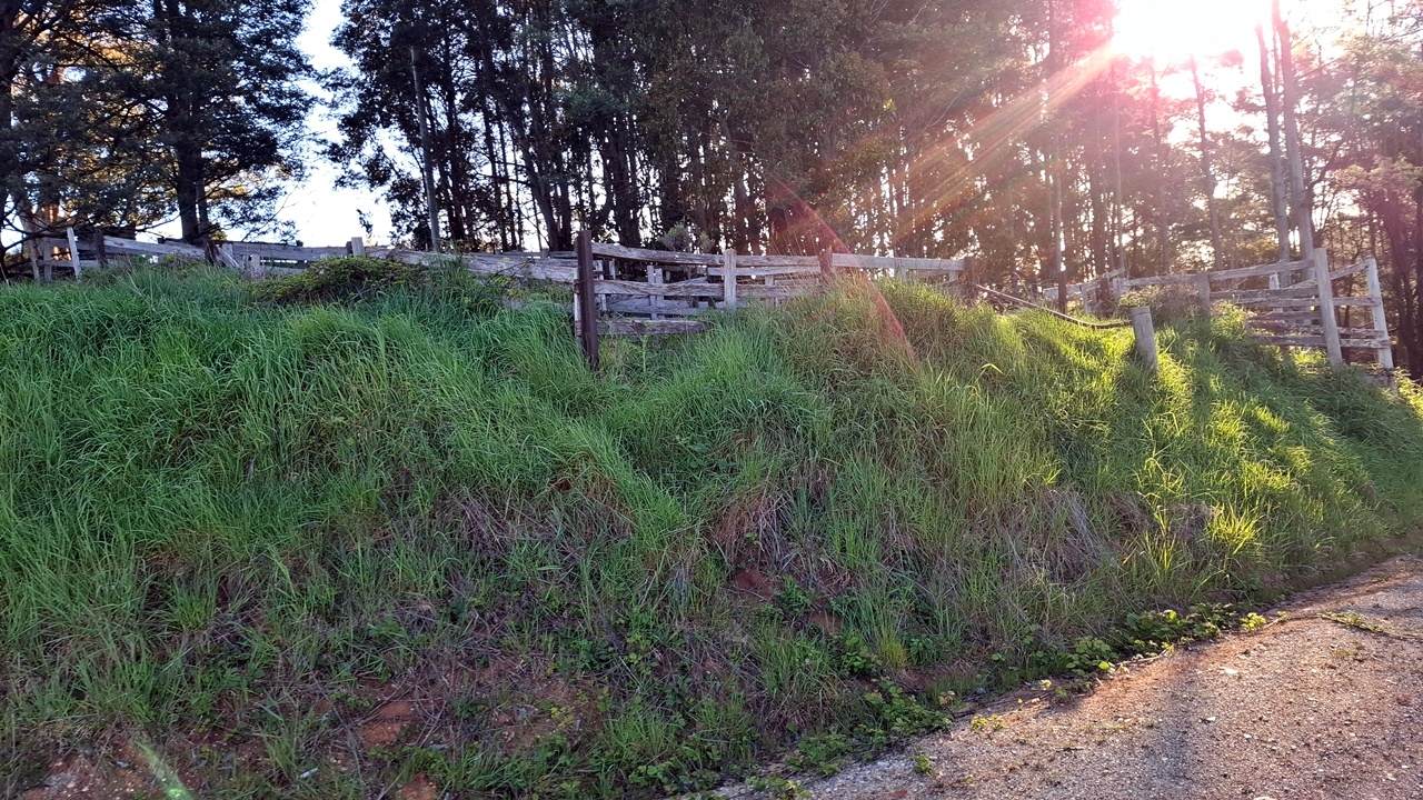 108B Weeks Road, Barrington For Sale by Farmbuy.com - image 21