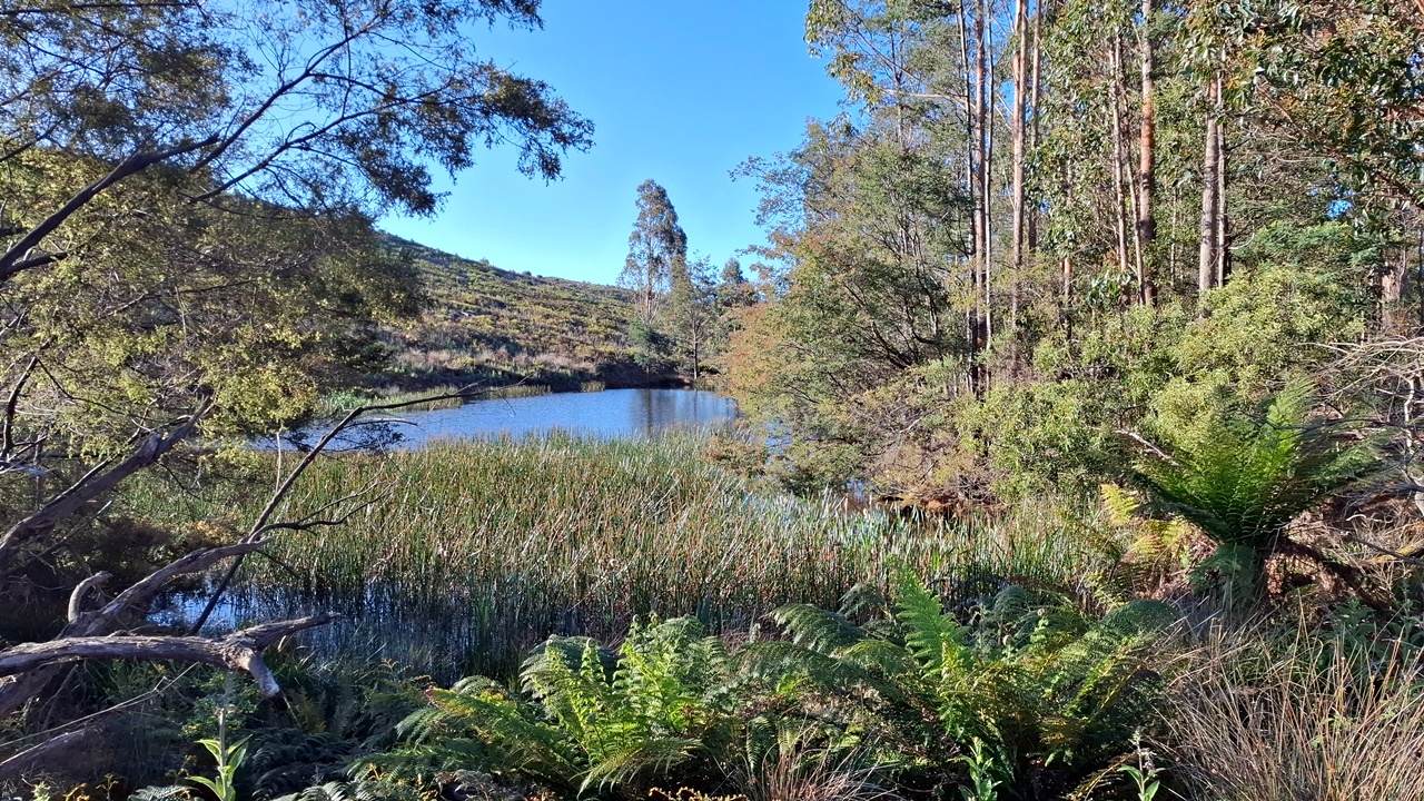 108B Weeks Road, Barrington For Sale by Farmbuy.com - image 16