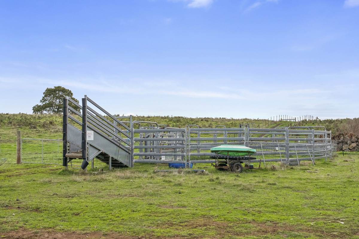2584 Princes Highway, Pomborneit For Sale by Farmbuy.com - image 5
