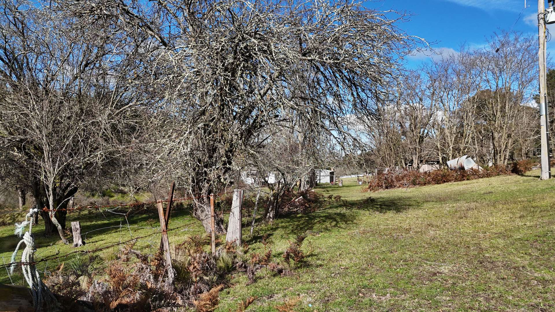 Lot 3 /1024 Mayfield Road, Braidwood For Sale by Farmbuy.com - image 23