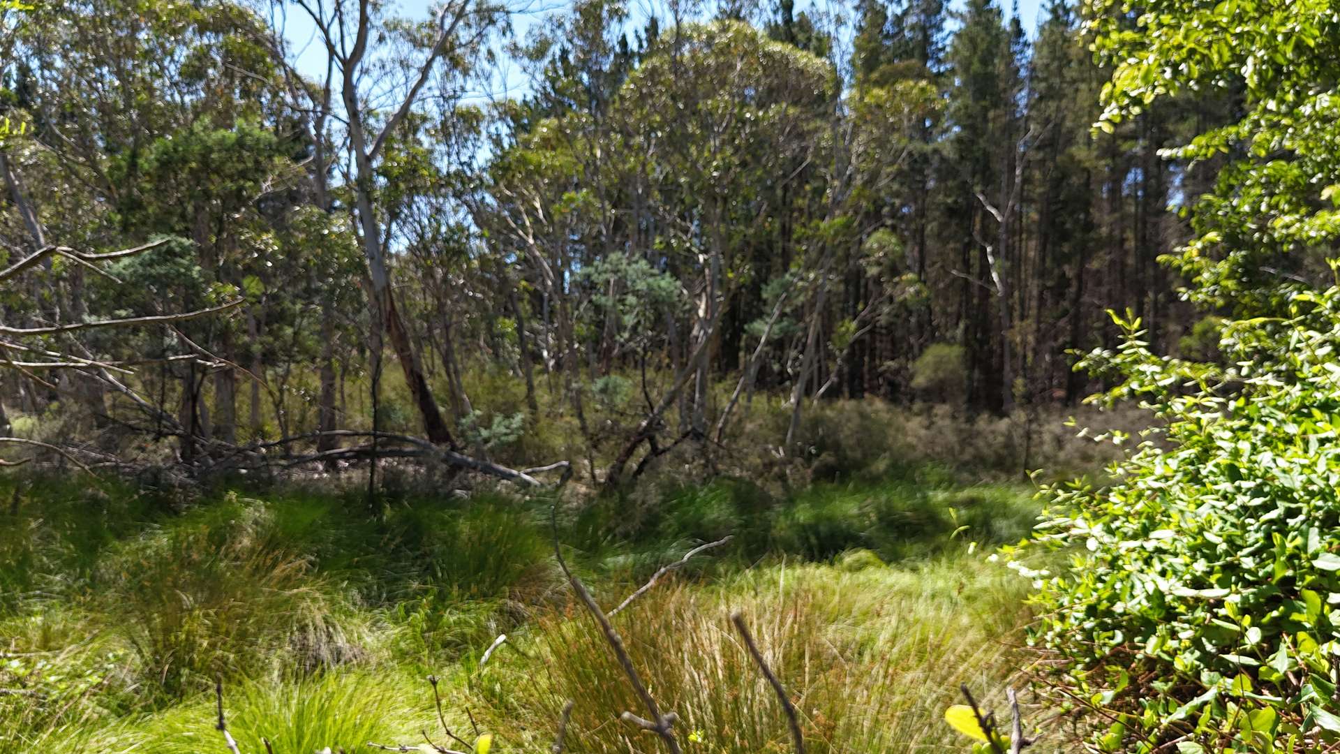 Lot 3 /1024 Mayfield Road, Braidwood For Sale by Farmbuy.com - image 24