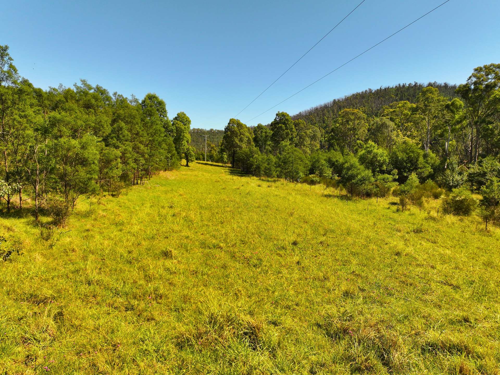 4041 Araluen Road, Deua River Valley For Sale by Farmbuy.com - image 5