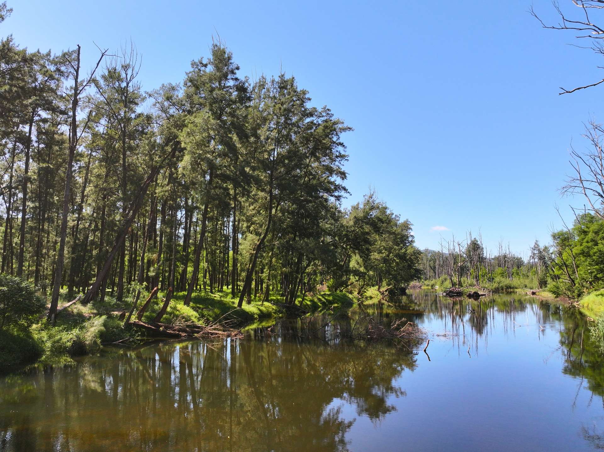 4041 Araluen Road, Deua River Valley For Sale by Farmbuy.com - image 7