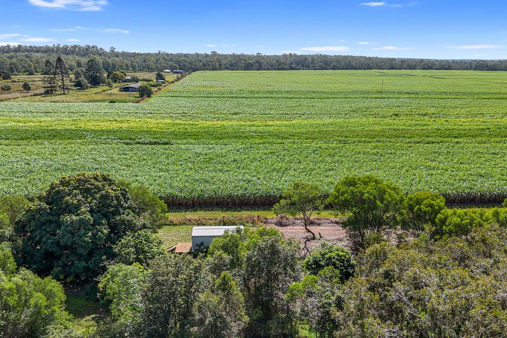 Lot 1,3,19 Redbank Road, Tiaro For Sale by Farmbuy.com - image 8