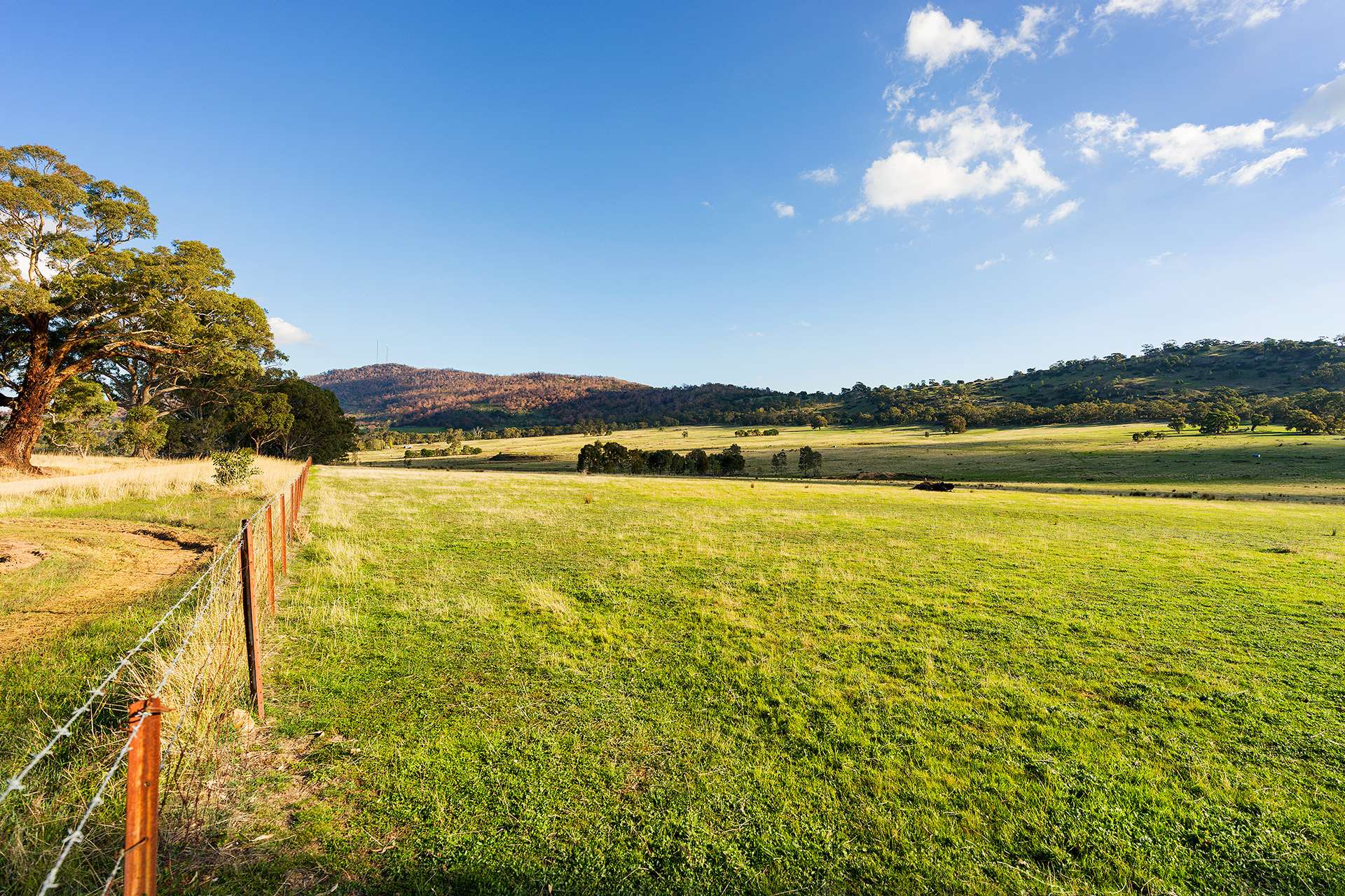 333 Harcourt-Sutton Grange Road, Sutton Grange For Sale by Farmbuy.com - image 30