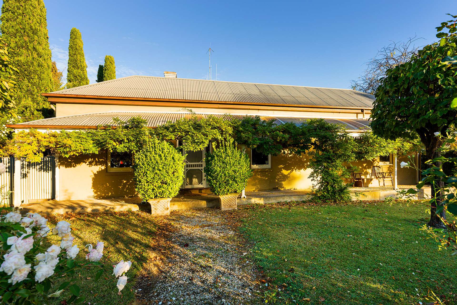 333 Harcourt-Sutton Grange Road, Sutton Grange For Sale by Farmbuy.com - image 3