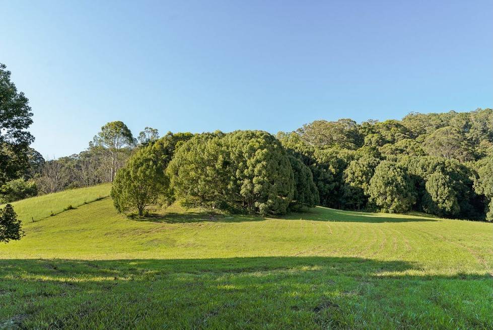 584 The Pocket Road, The Pocket For Sale by Farmbuy.com - image 17