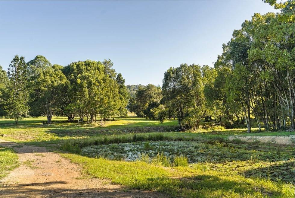 584 The Pocket Road, The Pocket For Sale by Farmbuy.com - image 27