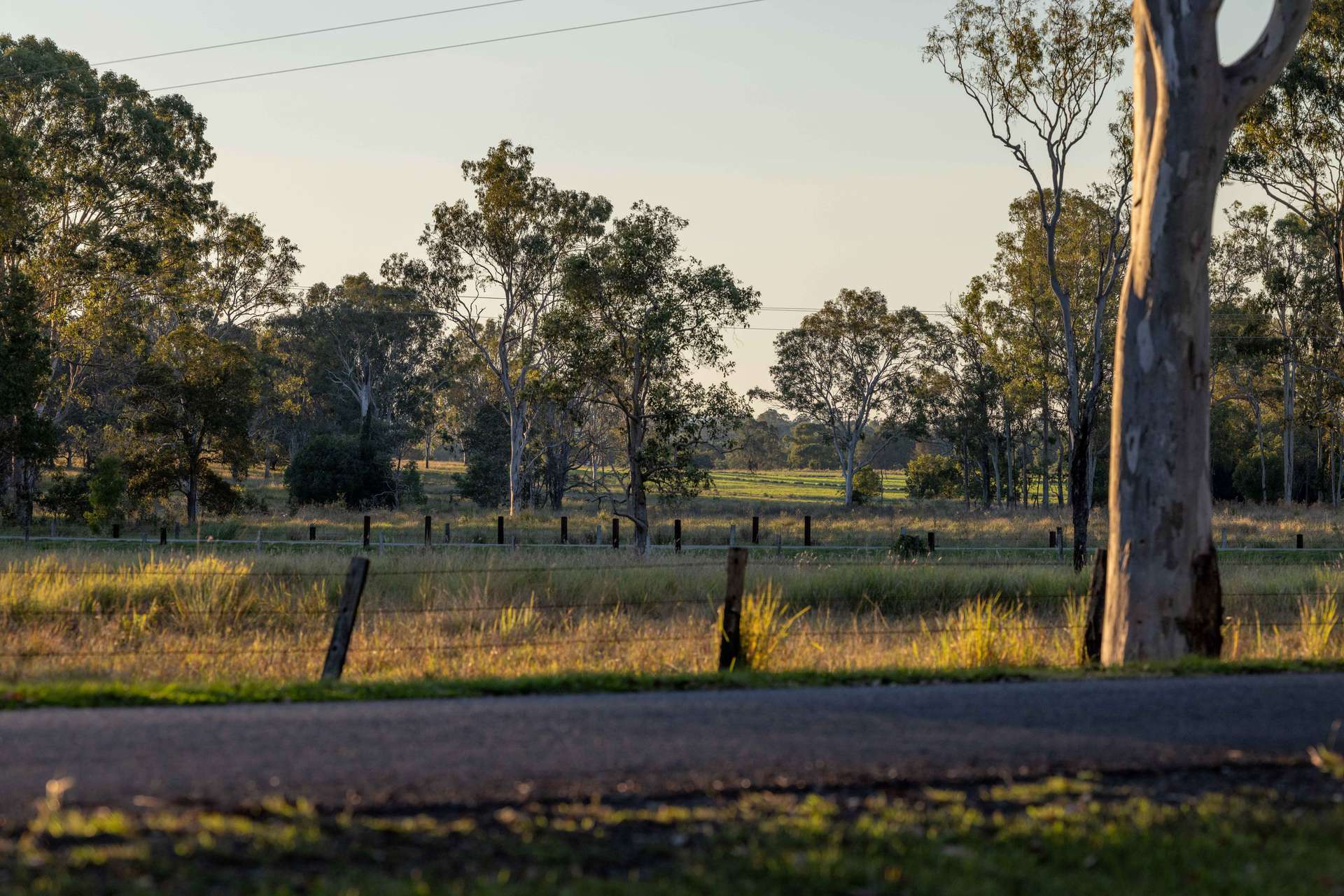 14 Lobwein Road, Kybong For Sale by Farmbuy.com - image 27
