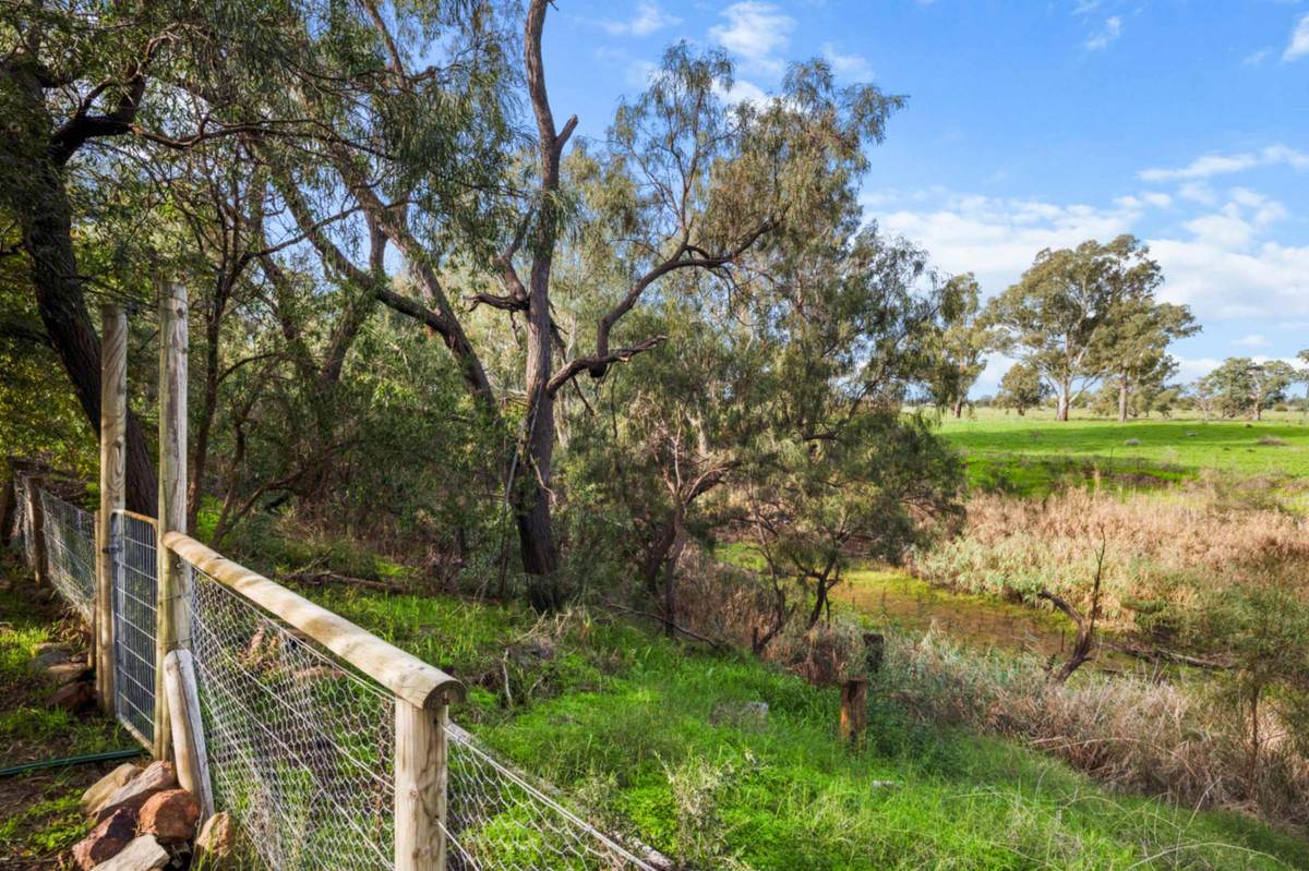 194 Old Turrawan Road, Narrabri For Sale by Farmbuy.com - image 28