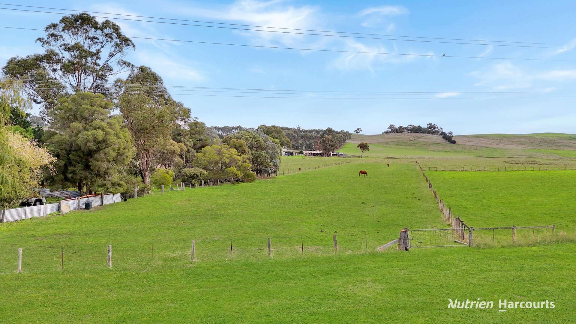 5919 Portland-Casterton Road, Sandford For Sale by Farmbuy.com - image 3