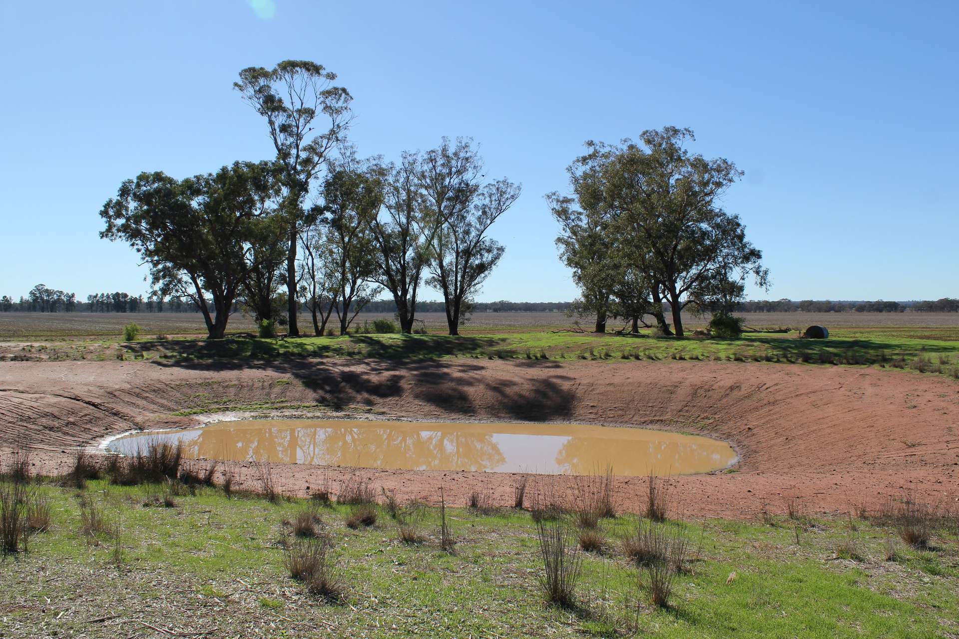 366 Mercadool Lane, Bogan Gate For Sale by Farmbuy.com - image 6
