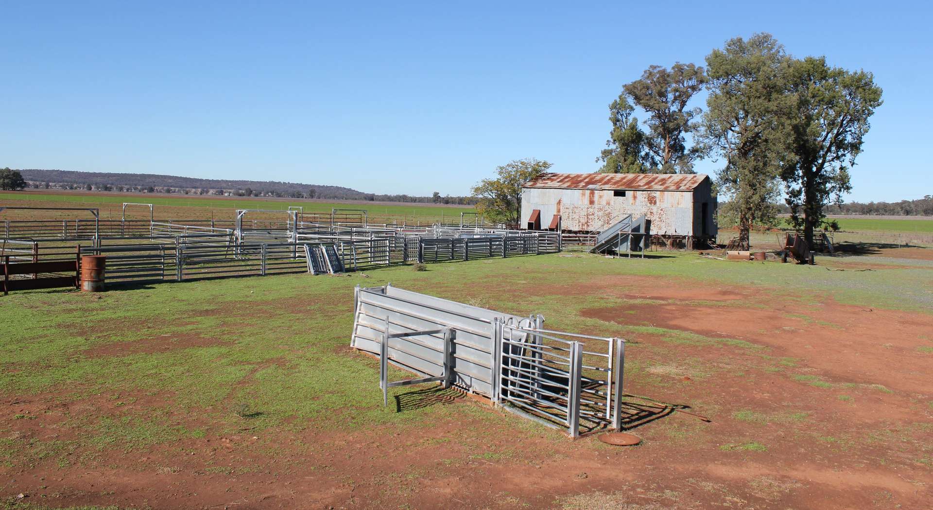 366 Mercadool Lane, Bogan Gate For Sale by Farmbuy.com - image 16