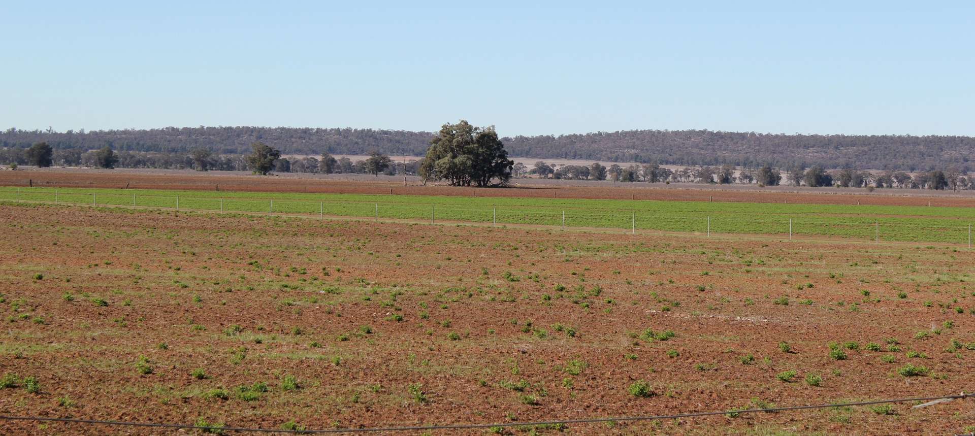 366 Mercadool Lane, Bogan Gate For Sale by Farmbuy.com - image 12