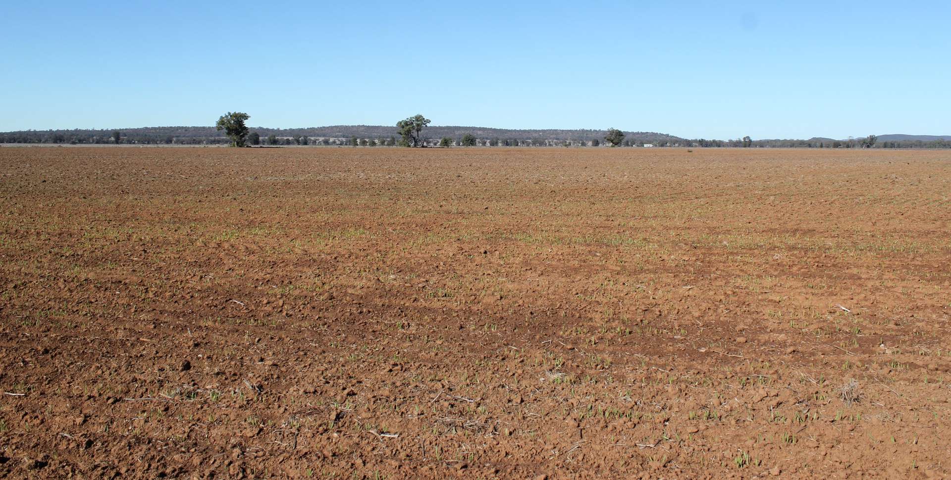 366 Mercadool Lane, Bogan Gate For Sale by Farmbuy.com - image 24