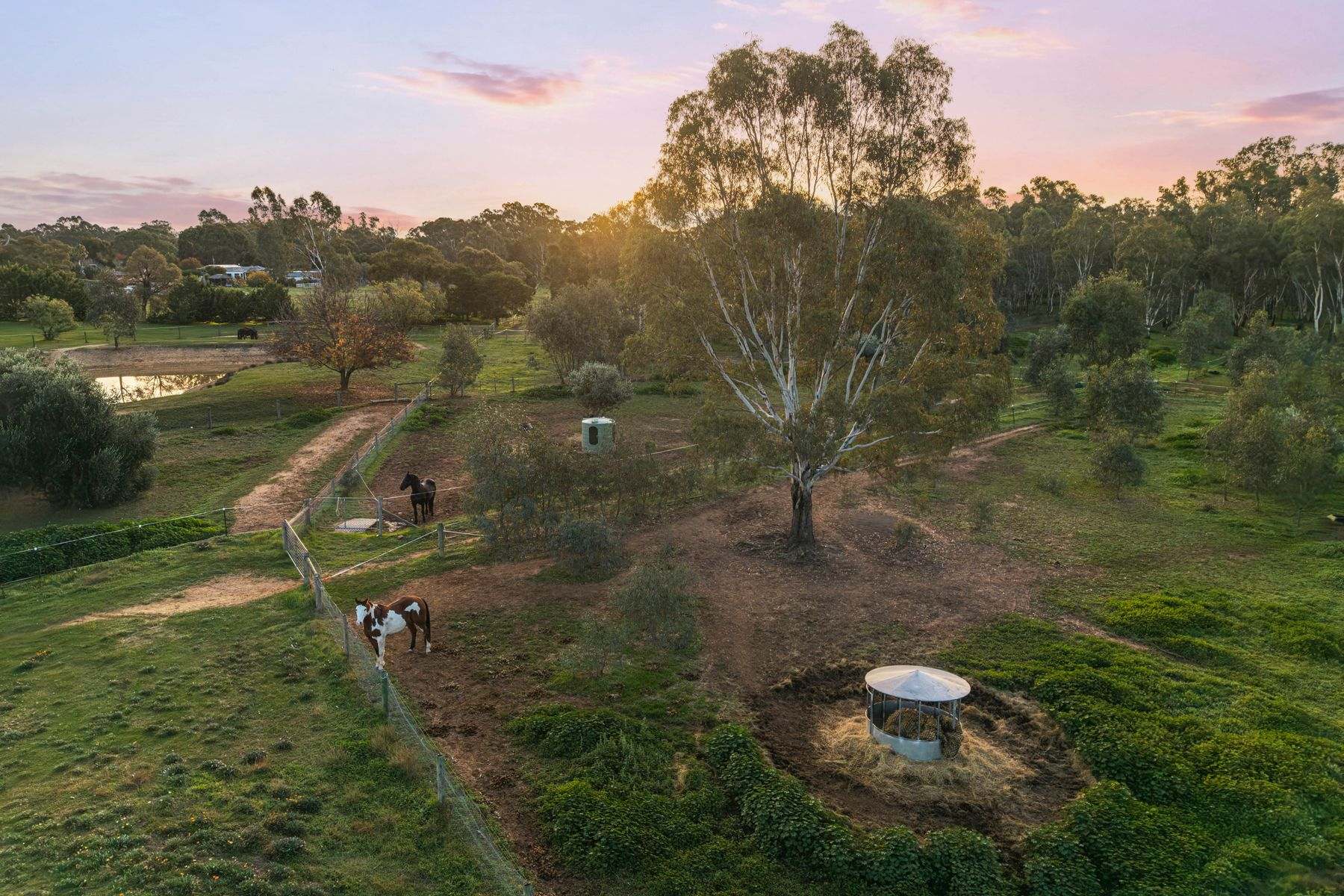 4 George Terrace, Junortoun For Sale by Farmbuy.com - image 29
