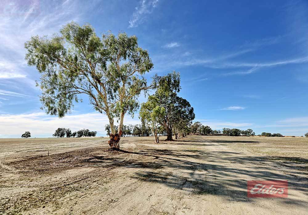 572 Jaloran Road, Wagin For Sale by Farmbuy.com - image 14