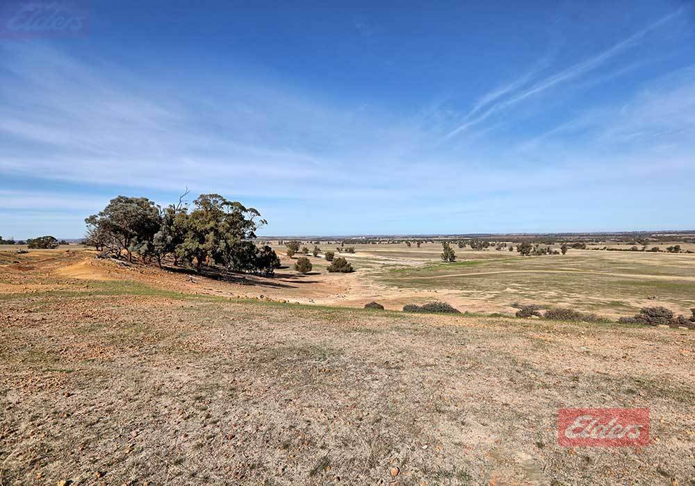 572 Jaloran Road, Wagin For Sale by Farmbuy.com - image 7