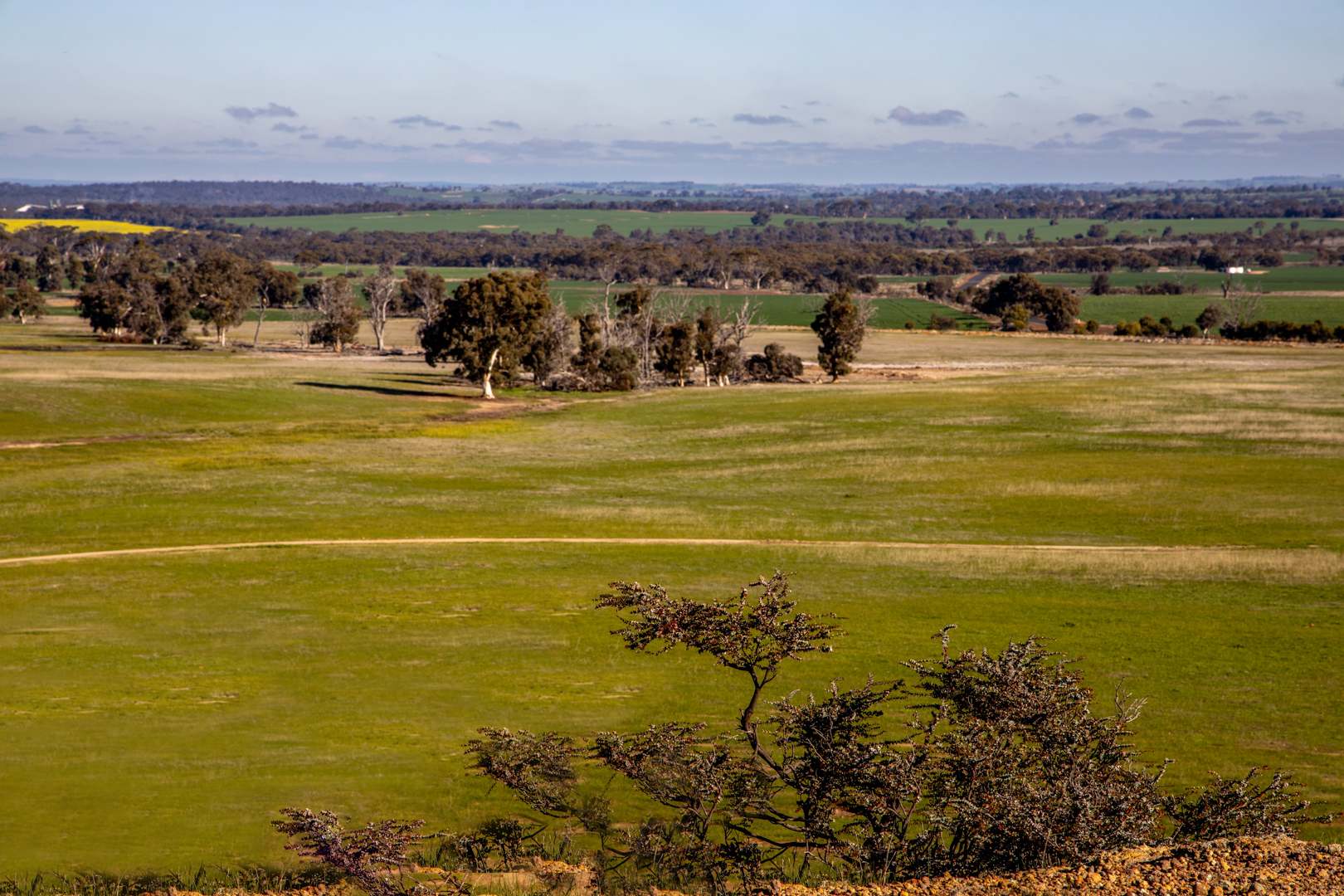 572 Jaloran Road, Wagin For Sale by Farmbuy.com - image 9
