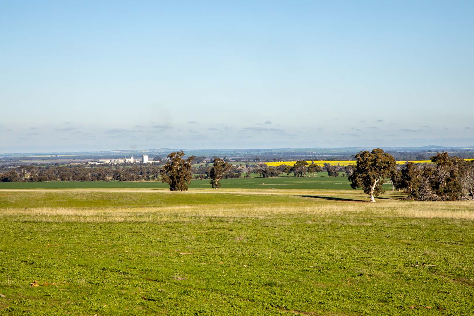 572 Jaloran Road, Wagin For Sale by Farmbuy.com - image 18