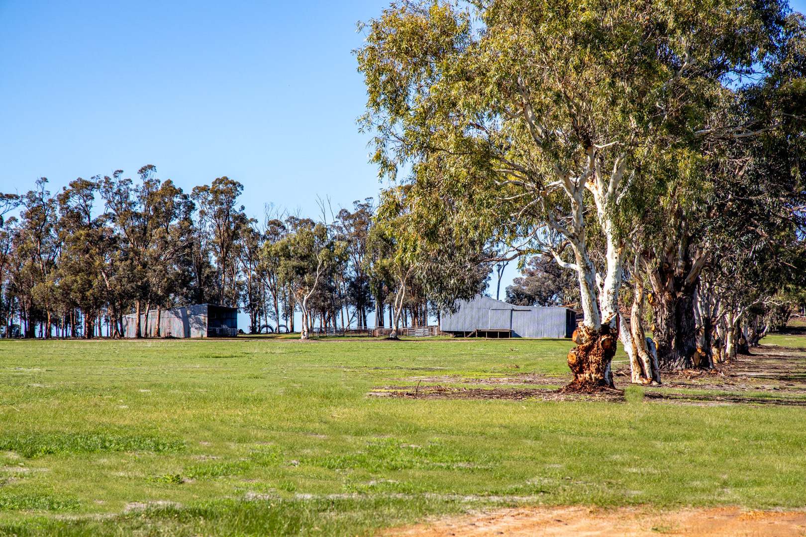 572 Jaloran Road, Wagin For Sale by Farmbuy.com - image 2