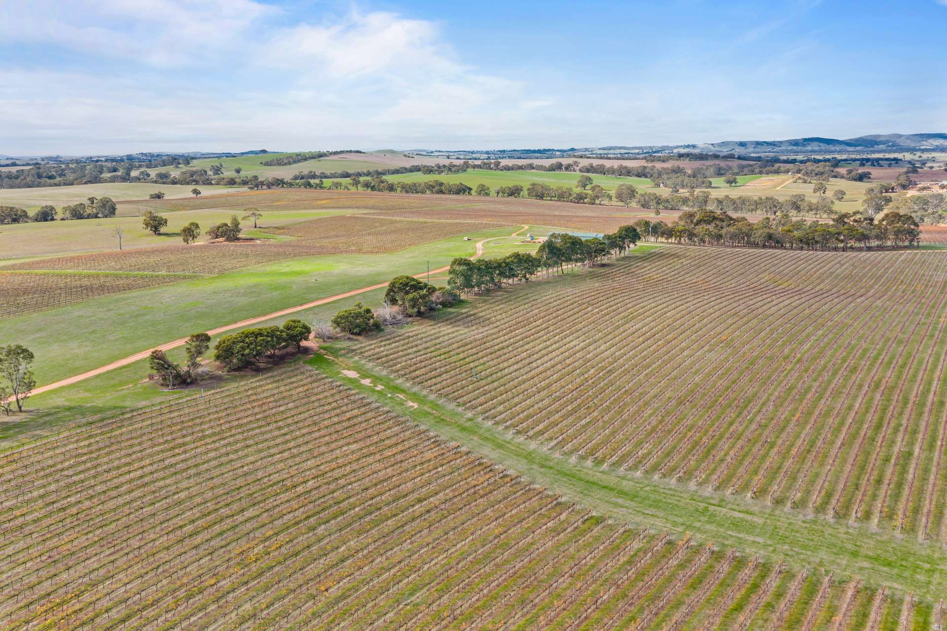 432 Wallaces Road, Moyston Tender by Farmbuy.com - image 13
