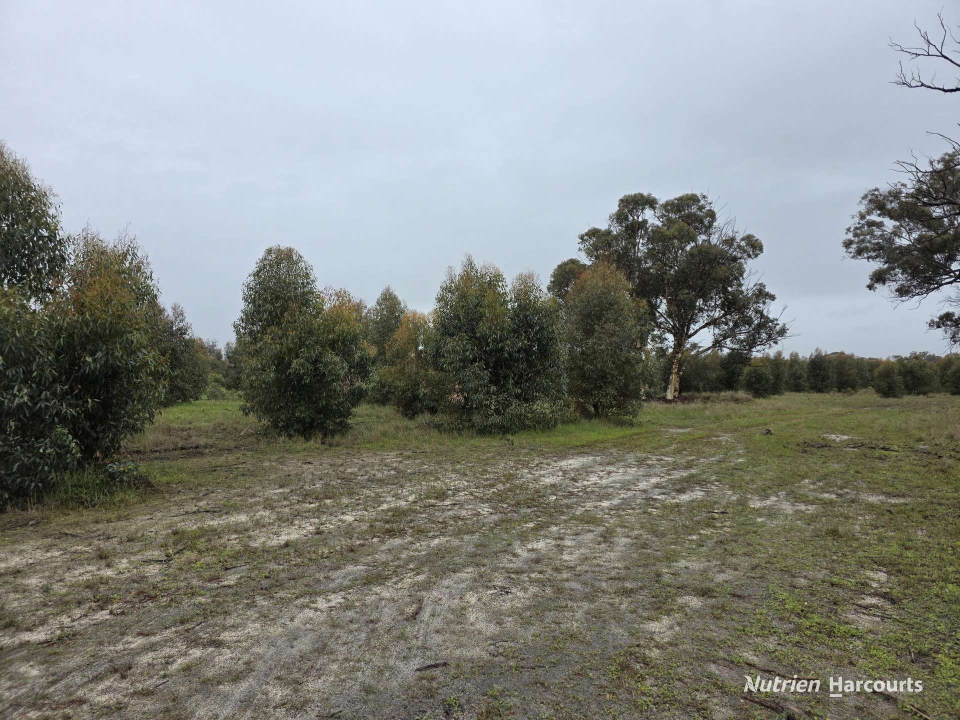 292 Neymerup Road, Boscabel For Sale by Farmbuy.com - image 21
