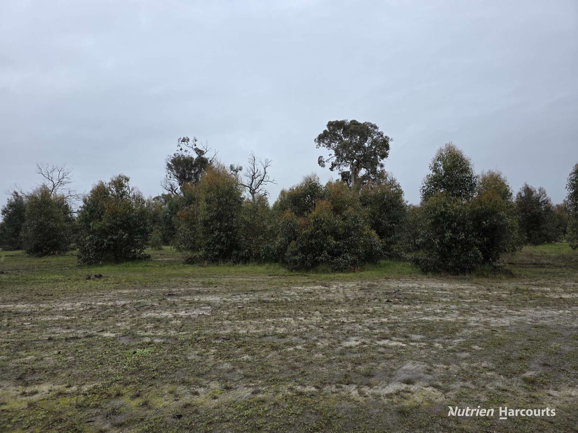 292 Neymerup Road, Boscabel For Sale by Farmbuy.com - image 20