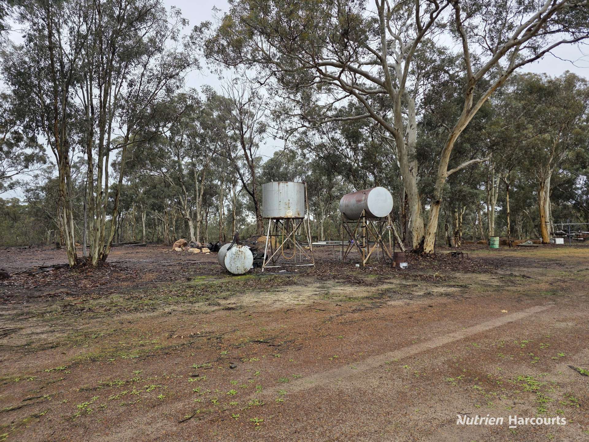 292 Neymerup Road, Boscabel For Sale by Farmbuy.com - image 13