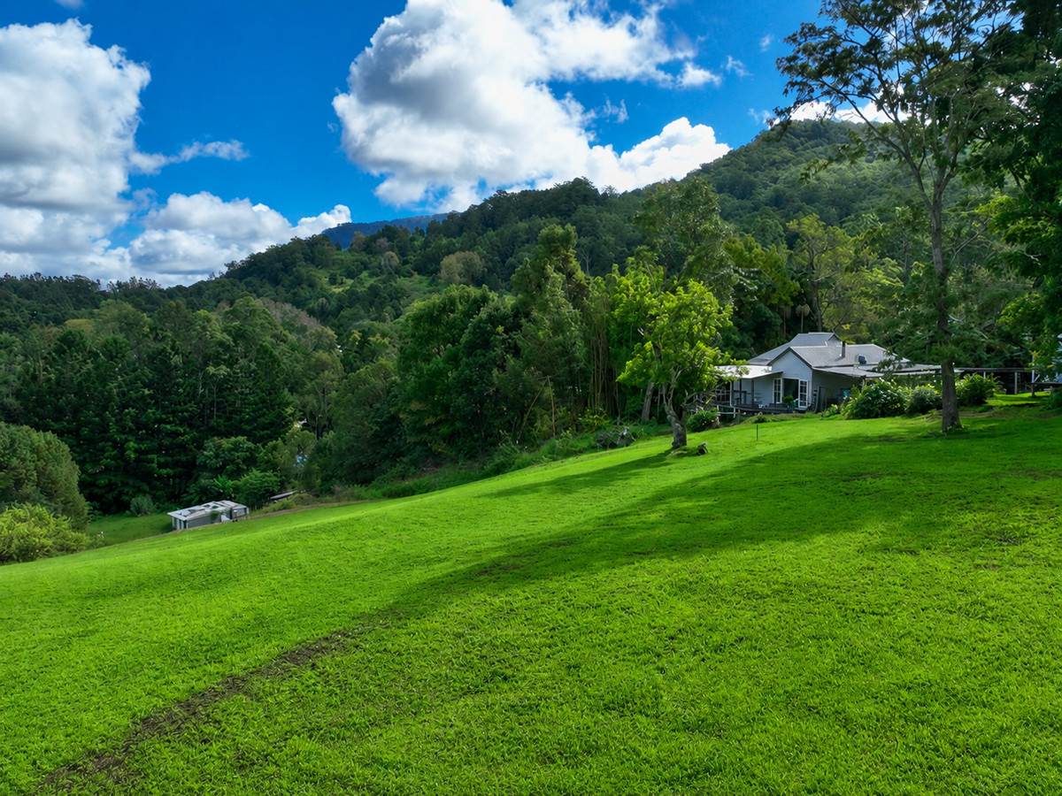 312 Gungas Road, Nimbin For Sale by Farmbuy.com - image 6