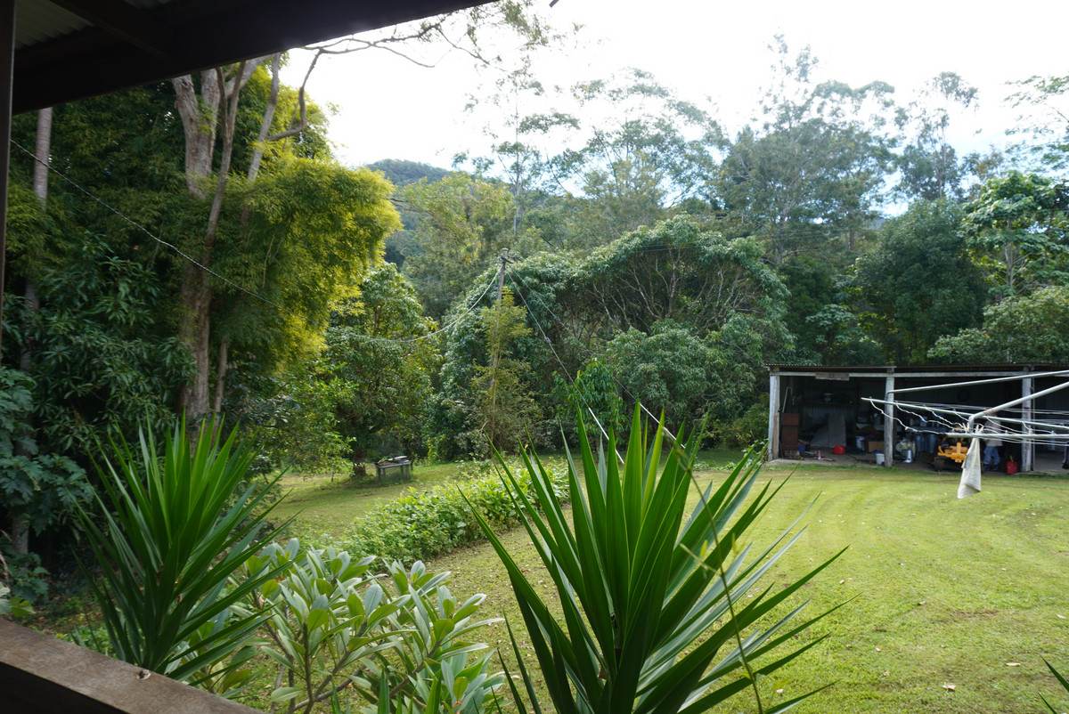 312 Gungas Road, Nimbin For Sale by Farmbuy.com - image 24
