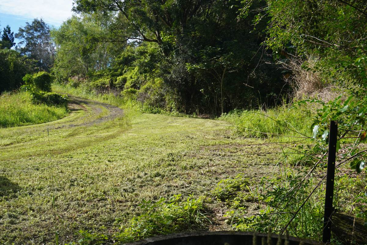 312 Gungas Road, Nimbin For Sale by Farmbuy.com - image 32